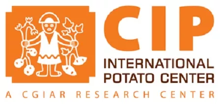 Le Centre international de la pomme de terre (CIP) recherche un consultant en innovation alimentaire – Johannesburg / Afrique du Sud