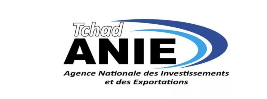 L’Agence Nationale des Investissements et des Exportations recrute cinq (05) profils, N’Djaména, Tchad