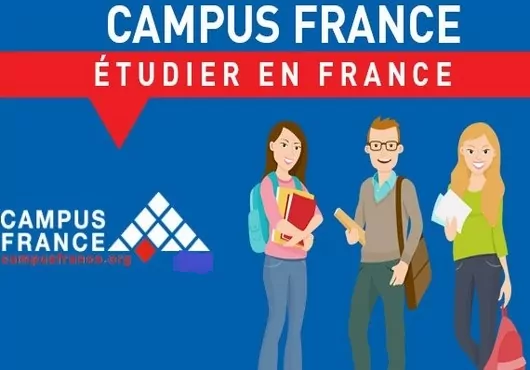 Candidatures en première année de licence ou de PACES (première année commune aux études de santé) dans une université française – Campagne 2018-2019