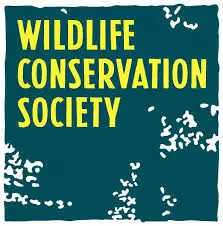  Conservation Society is looking for a project coordinator, Blue Action Fund (BAF)