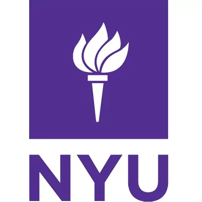 USA Falak Sufi Scholarship at New York University 2018