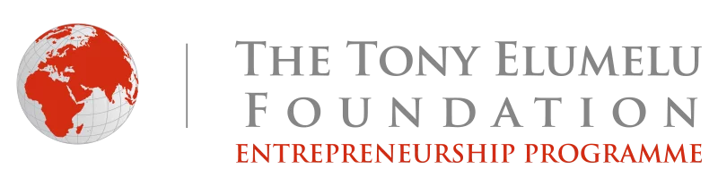 Programme d’entrepreneuriat 2020 de la Fondation Tony Elumelu pour les entrepreneurs africains (financement de démarrage de 5 000 $ et plus)