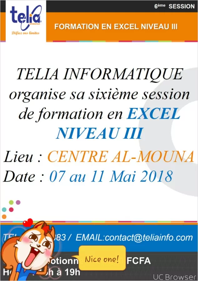 Telia Informatique Organise sa sixième session de Formation en Excel Niveau 3
