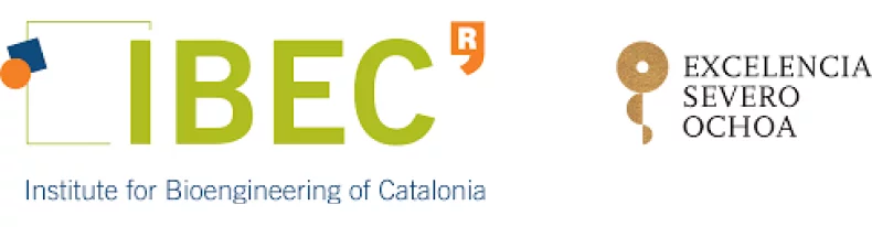 Bourses de Master de l’Institut de Bioingénierie de Catalogne (IBEC) pour les étudiants internationaux 2018 2019 en Espagne