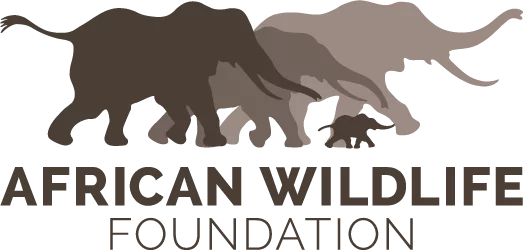 L’African Wildlife Foundation recrute un Stagiaire assistant administratif (H/F), Yaoundé, Cameroun
