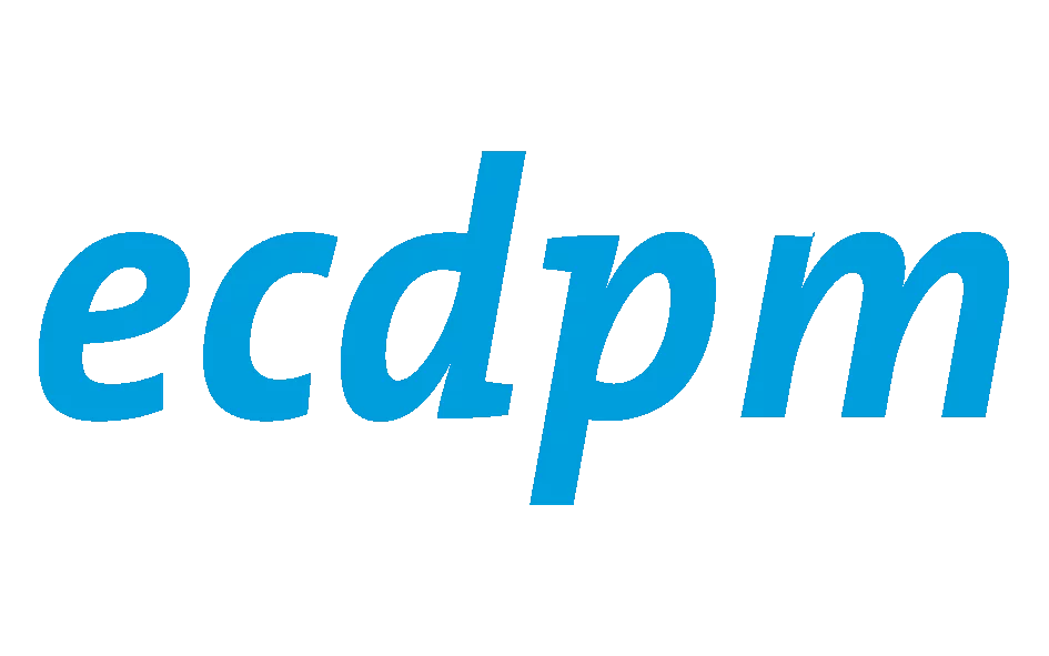 ECDPM is looking for a new Director with a solid understanding of the changing context of international cooperation and international relations