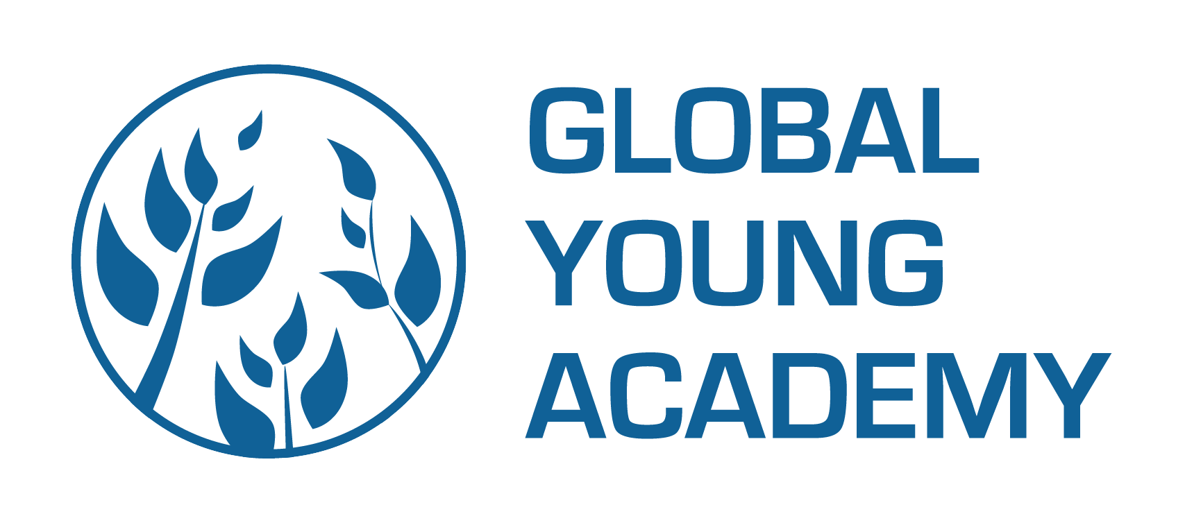 Concours de Global Young Academy Nouvel appel à candidatures pour les jeunes leaders 2018