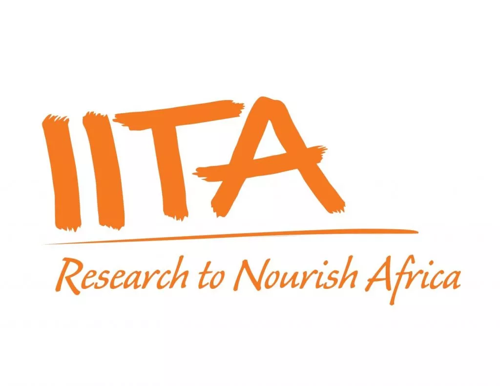 30 bourses de l’IITA pour recueillir des éléments de preuve sur “l’engagement des jeunes dans le secteur agroalimentaire et les activités économiques rurales en Afrique” 2019