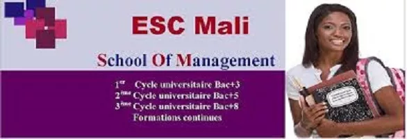 ESC cherche à recruter un professeur spécialisé ayant suffisamment d’expérience professionnelle pour dispenser les modules suivants : Comptabilité des Collectivités & Fiscalité des Collectivités – Bamako, Mali
