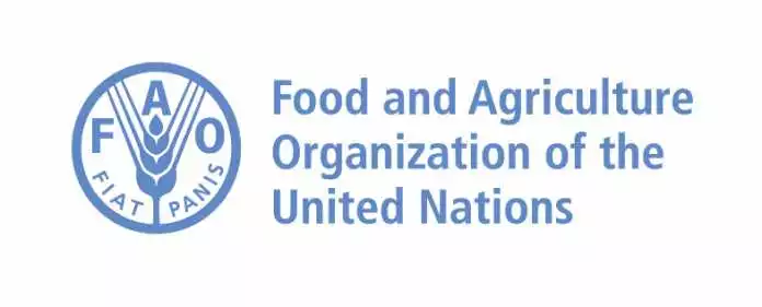UN FAO Global AgriInno Challenge 2021 pour les jeunes agripreneurs (entièrement financé à Shenzhen, Chine)