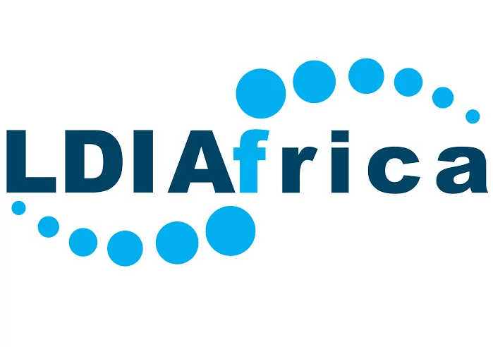 LDI Africa Emerging Institutions Fellowship Program 2019 for young African Professionals