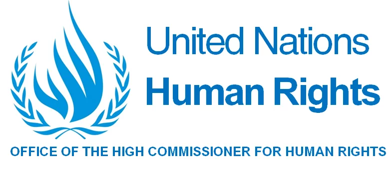 Programme de bourses pour les minorités du HCDH des Nations Unies 2020 (entièrement financé à Genève)