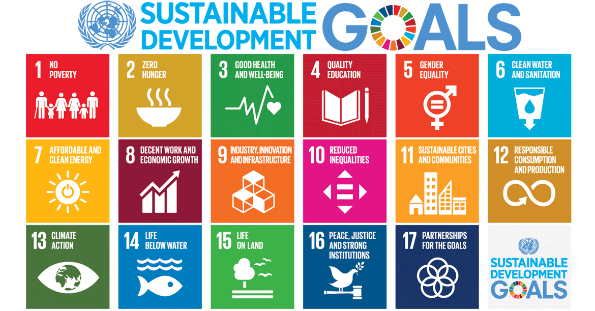 Programme en ligne de 12 mois pour le développement d’objectifs mondiaux – United for 2030 Citizen Assembly 2019