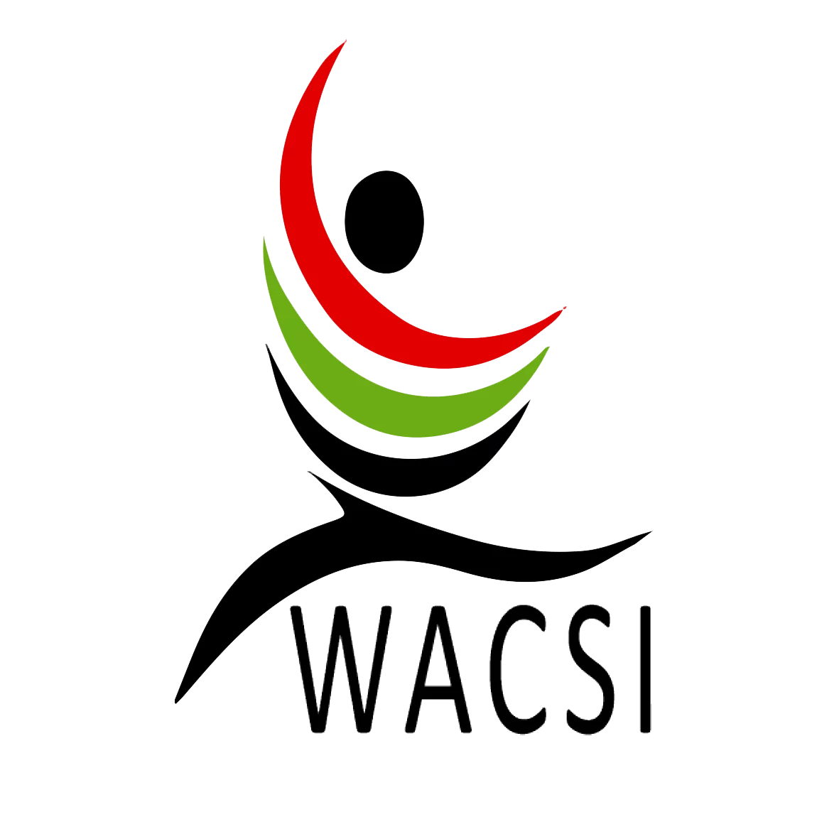 Cours WACSI sur le litige stratégique en matière de droits de l’homme 2019 (financé)