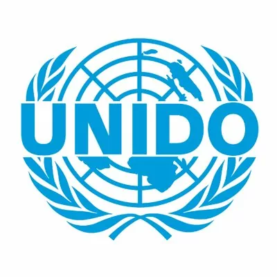 UNIDO seeks to recruit a national expert to conduct Mid-term Review