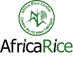 The Africa Rice Center seeks to recruit a planning and budget manager – Abidjan, Côte d’Ivoire