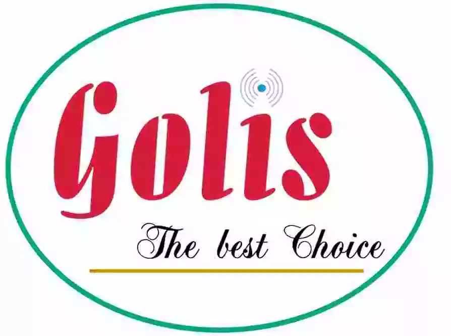 Golis Telecom seeks to recruit an internal auditor (labo boos) – Bosaso