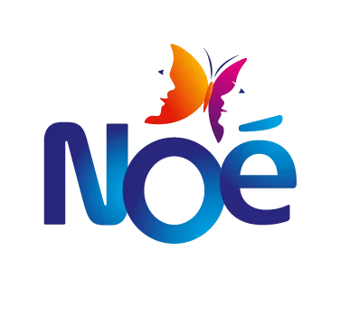 Noé recherche un responsable administratif et financier, Conkouati, Congo