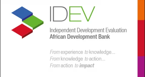 The African Development Bank Group (AfDB or the Bank) hereby invites Consulting Firms to indicate their interest in the following assignment: Consultancy Services for a Country Strategy and Program Evaluation: the Republic of Egypt (CSPE Egypt)