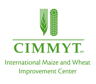 Le CIMMYT recrute un Responsable du suivi, de l’évaluation et de l’apprentissage, Harare, Zimbabwe