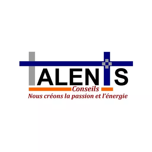 Talents Plus Conseils Mali recrute un chargé du site web, Bamako