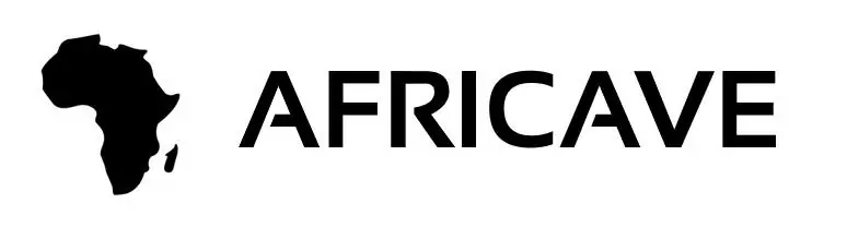 Programme de bourses Africave 2020 pour jeunes africains