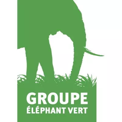 Elephant Vert recrute une assistante de direction & relais RH – Dakar, Sénégal