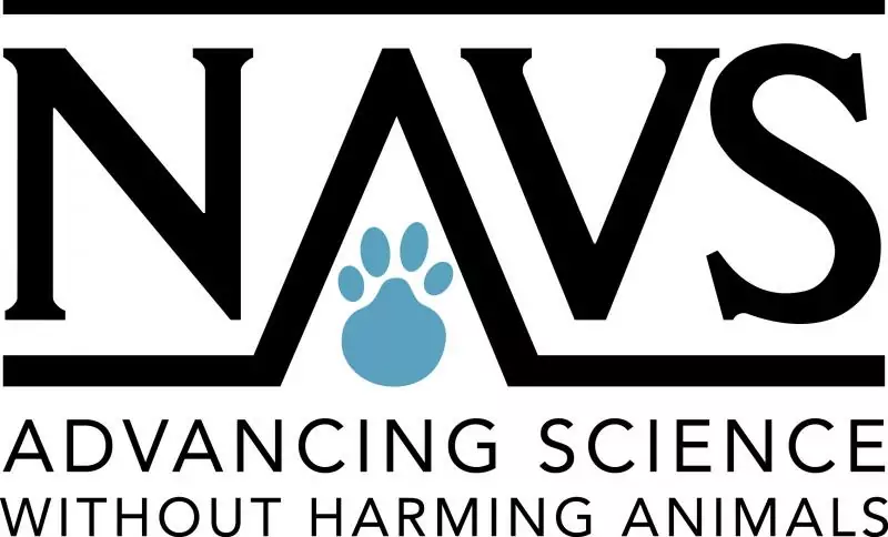 Concours Art pour les animaux» NAVS 2019 pour les jeunes artistes