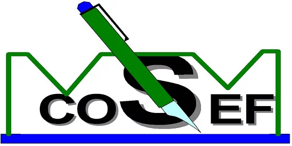 COSEF recherche un responsable du reporting et du contrôle de gestion, Niamey, Niger