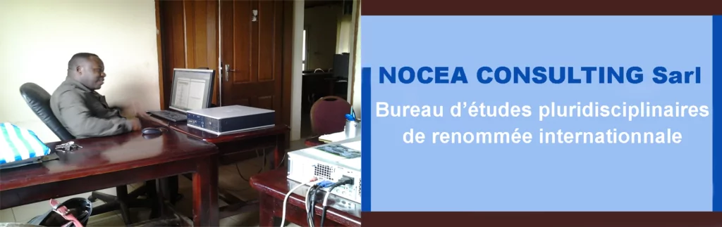 NOCEA CONSULTING Sarl recrute des consultants dans plusieurs secteurs – Cameroun 
