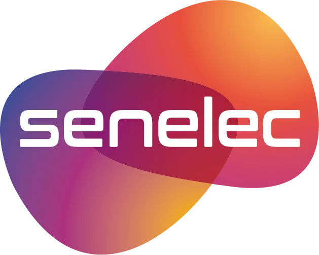 La Senelec recrute un chef de service facilitation des projets et impôts locaux, Sénégal