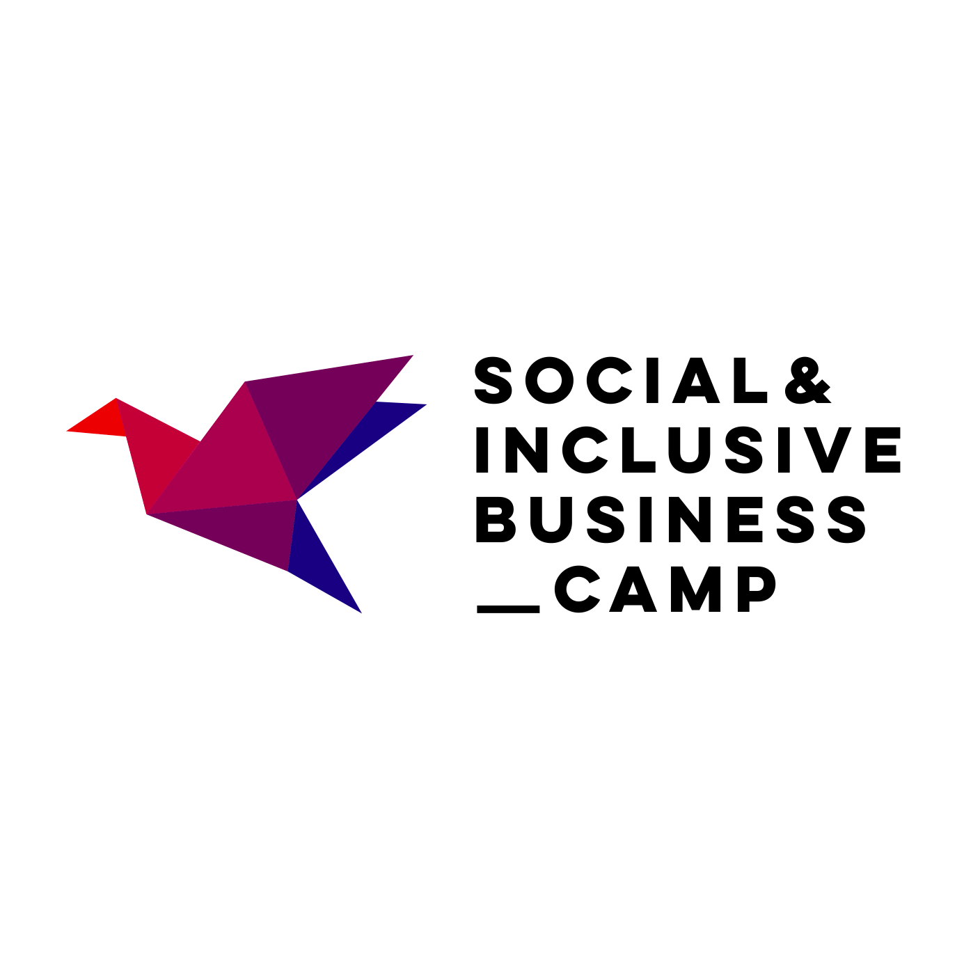 Digital Africa Social & Inclusive Business Camp – SIBC 2020 for Entrepreneurs (financé)