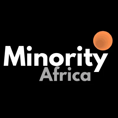 Minority Africa Women Illustrators Freelance Program 2020