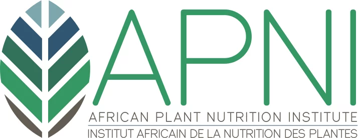 Programme de bourses de recherche pour jeunes chercheurs africains sur le phosphore 2020 pour les chercheurs africains