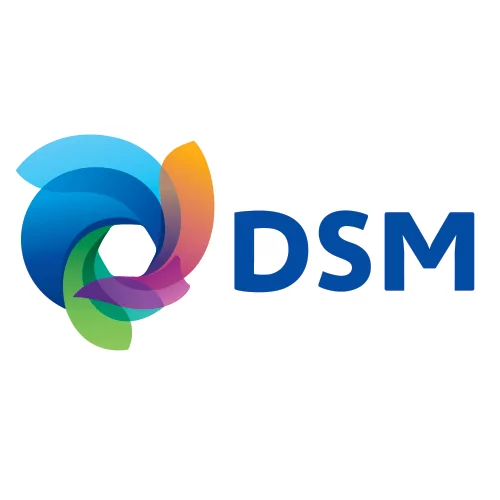 Bourse DSM Brighter Living pour assister au One Young World Summit 2020 à Munich, en Allemagne (entièrement financé)