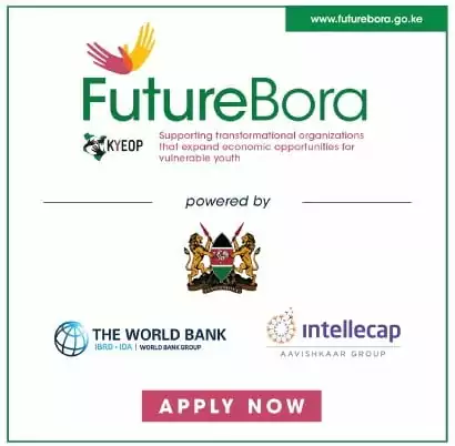 Future Bora Challenge 2020 pour les organisations au Kenya (subvention de 40 millions de KSH)