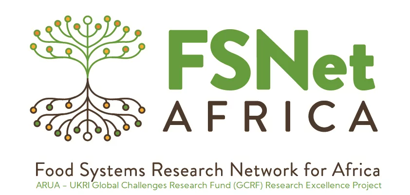 Bourse FSNet-Africa 2021 pour les chercheurs en début de carrière (jusqu’à 20000 £)