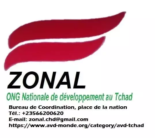Avis de recrutement de trois (03) formateurs en matière de développement durable et de la cohésion sociale, Bongor et Pala, Tchad