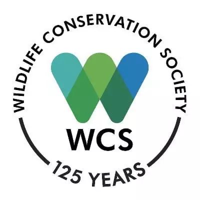 The Wildlife Conservation Society recrute un responsable des opérations pour le parc national de Nouabalé-Ndoki, Congo