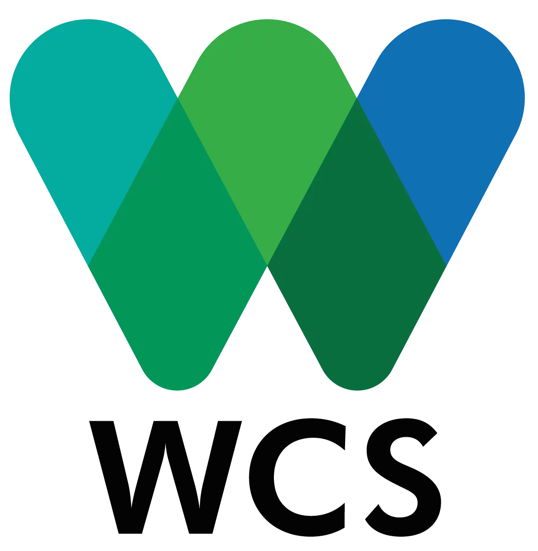 WCS recrute un directeur pays, N’Djaména, Tchad