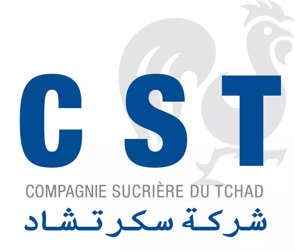 La CST recrute un(e) Chef(fe) de département informatique basé(e) à Banda/Sarh