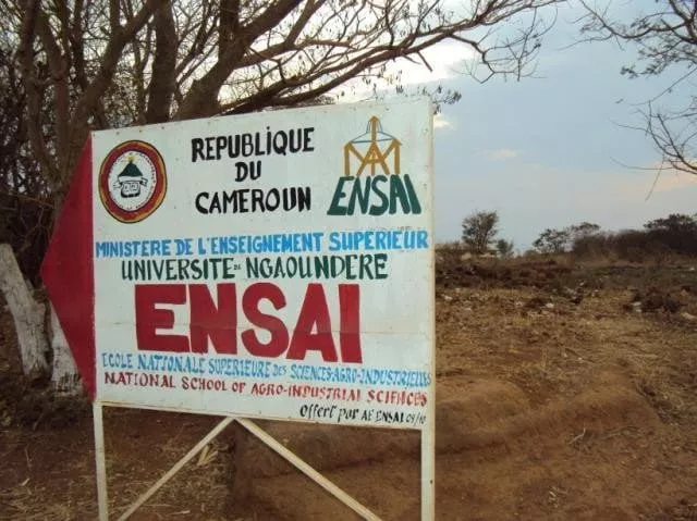 Concours d’entrée à l’Ecole Nationale Supérieure des Sciences Agro-Industrielles (ENSAI) de l’Université de Ngaoundéré au titre de l’année académique 2021-2022