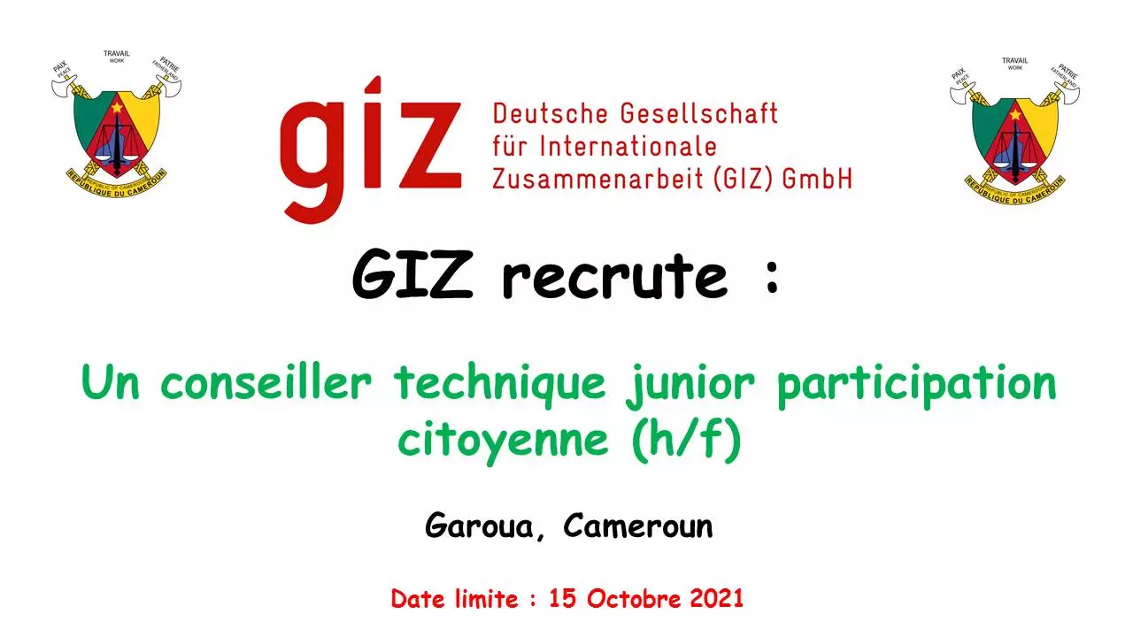 La GIZ recrute un conseiller technique junior participation citoyenne (h/f), Garoua, Cameroun