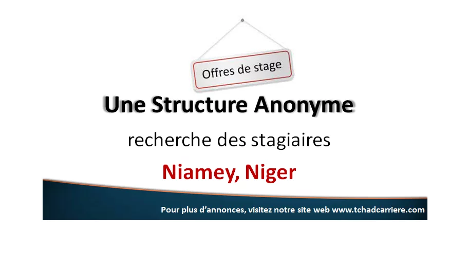 Une Structure Anonyme recherche des stagiaires, Niamey, Niger