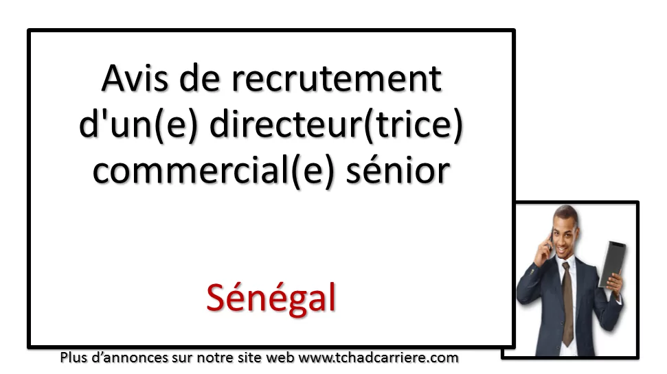 Avis de recrutement d’un(e) directeur(trice) commercial(e) sénior, Sénégal