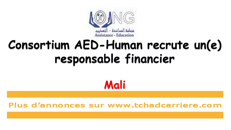 Consortium AED-Human recrute un(e) responsable financier, Mali