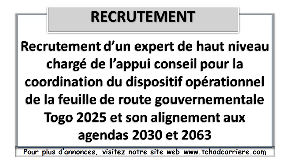 Recrutement d’un expert de haut niveau chargé de l’appui conseil pour la coordination du dispositif opérationnel de la feuille de route gouvernementale Togo 2025 et son alignement aux agendas 2030 et 2063
