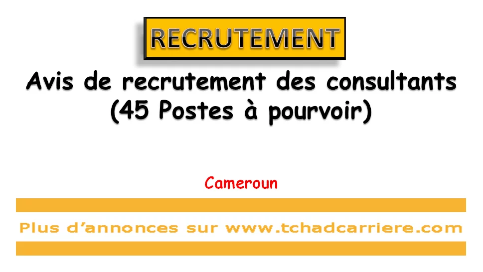Avis de recrutement des consultants (45 Postes à pourvoir), Cameroun