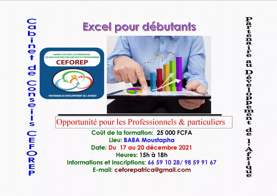 Session de formation en Excel pour les débutants avec le cabinet CEFOREP, Tchad