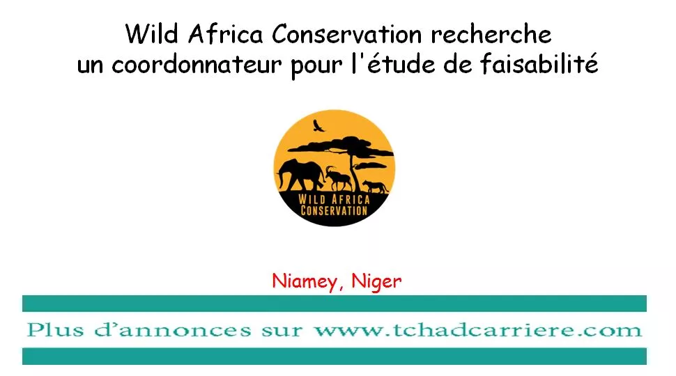 Wild Africa Conservation recherche un coordonnateur pour l’étude de faisabilité, Niamey, Niger
